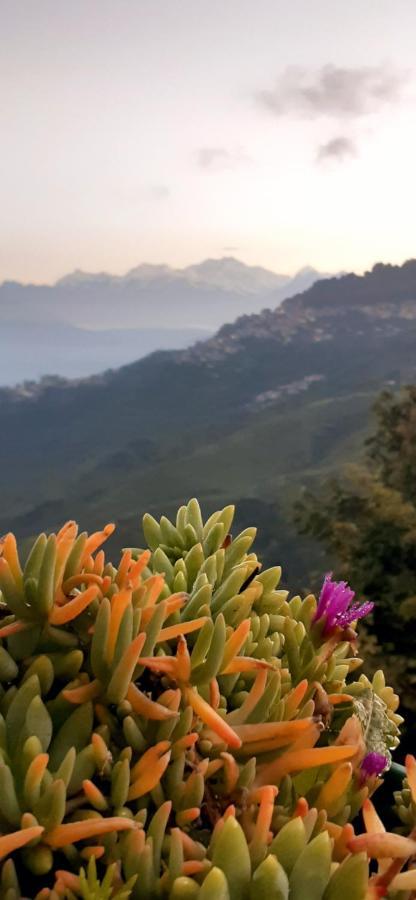 Rajbari Farms Darjeeling (West Bengal) Exterior photo